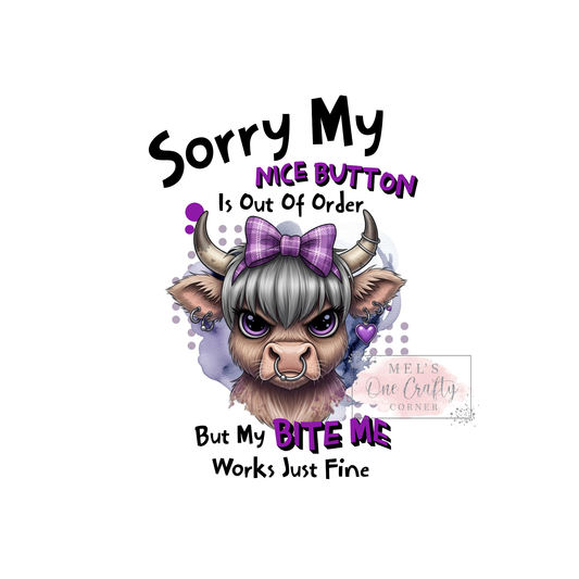 Sorry My Nice Button is Out of Order - DTF Transfer