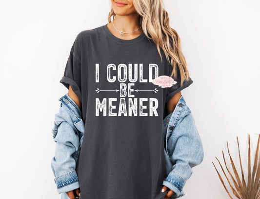 I Could Be Meaner Shirt